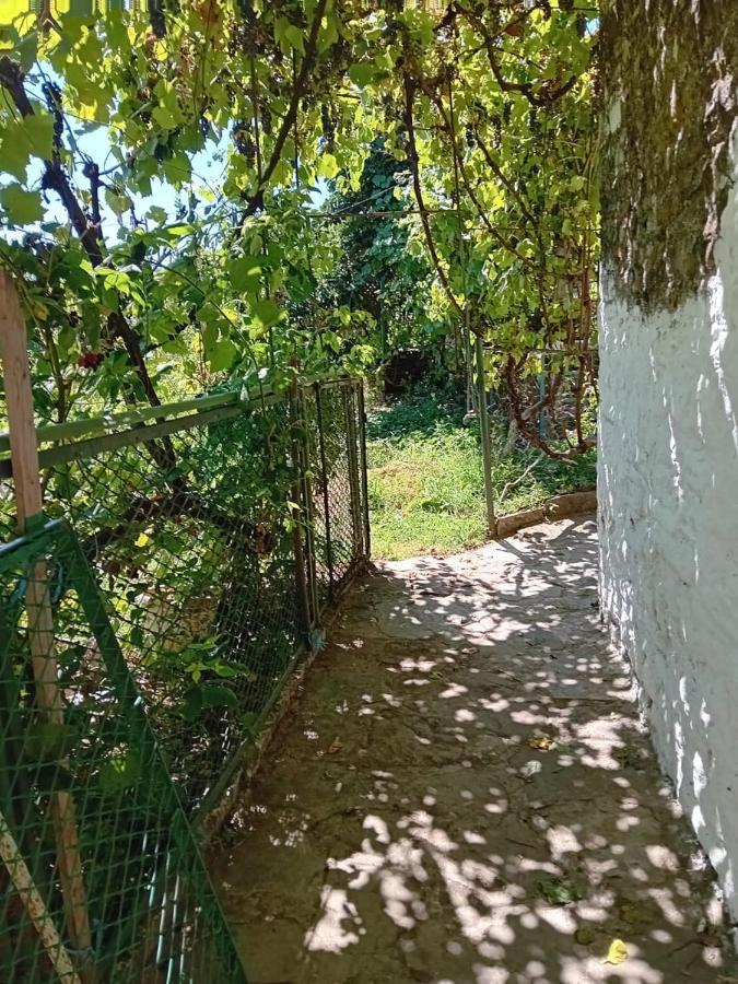Stone Pazar Guest House จีโรคาสเตอร์ ภายนอก รูปภาพ